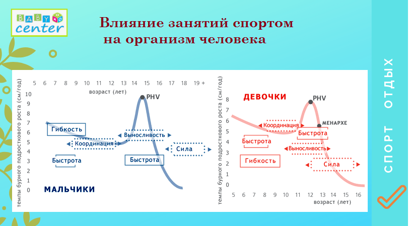 влияние_спорта_на_организм_человека.png