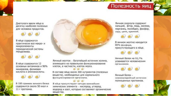 как_можно_давать_яйцо_в_прикорм.png
