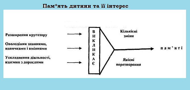 память_дитини_та_її_інтерес.png