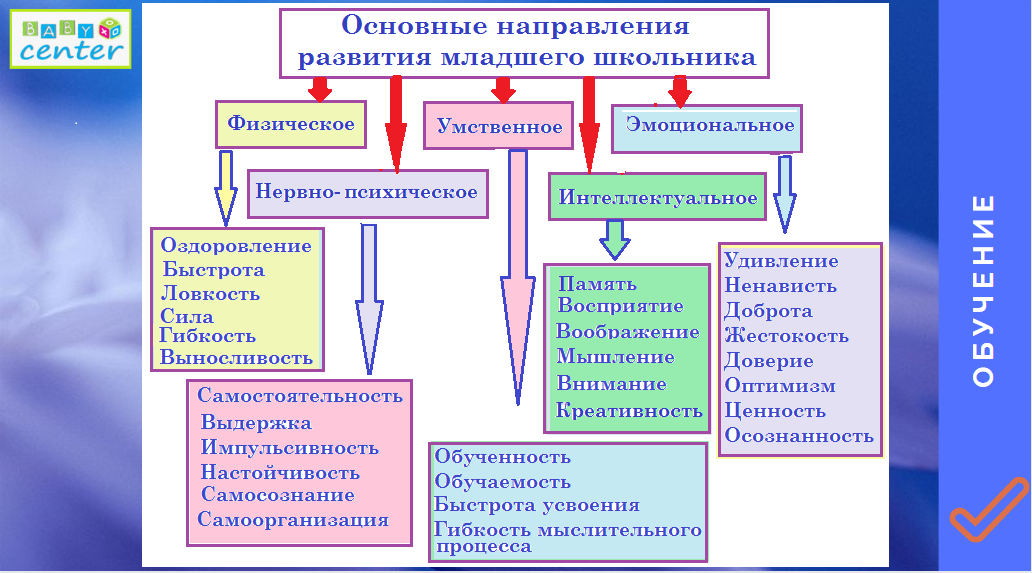 развитие_мл_школьника.png