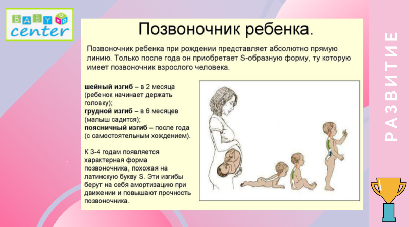 развитие_ребенка_от3_до_4_лет_позвоночник.png