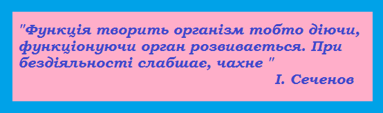 укр_вар_Безымянный.png